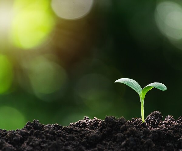 みんつくゼミナール2024 活動報告書を公開しました