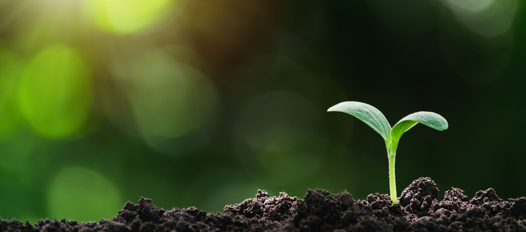 【終了】【6/4】みんなでつくろう、これからの医療プロジェクト みんつくゼミナール2022①「『思い込み』と『すれ違い』を無くそう」を開催します。